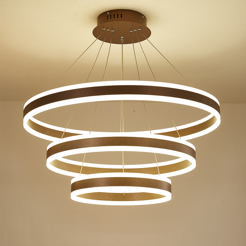 客厅现代简约2020年新款大气LED餐吊灯圆环北欧家用高档大厅灯具